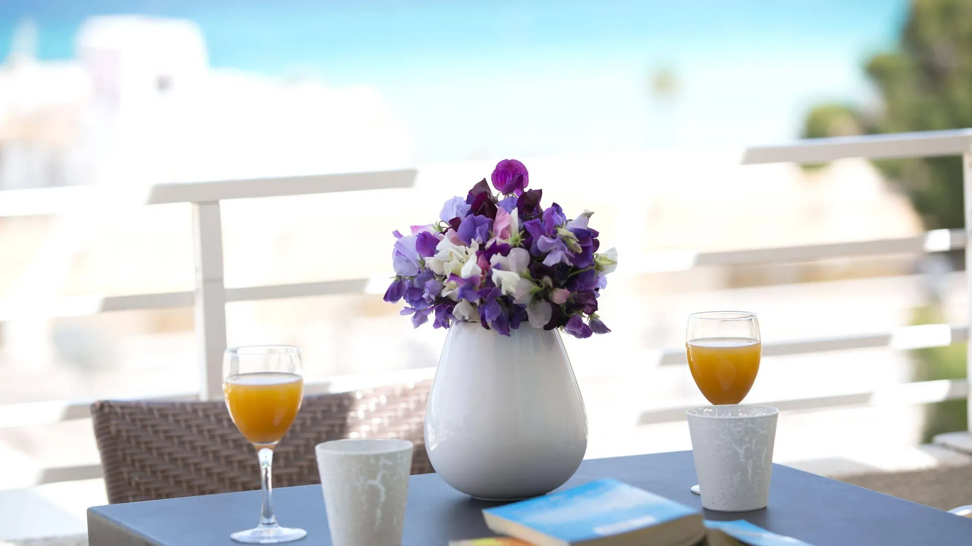 Hotel Ivory Playa Sports & Spa Alcudia  Spain